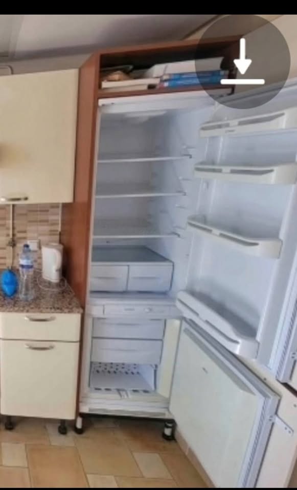 koujina lelbi3 image 1